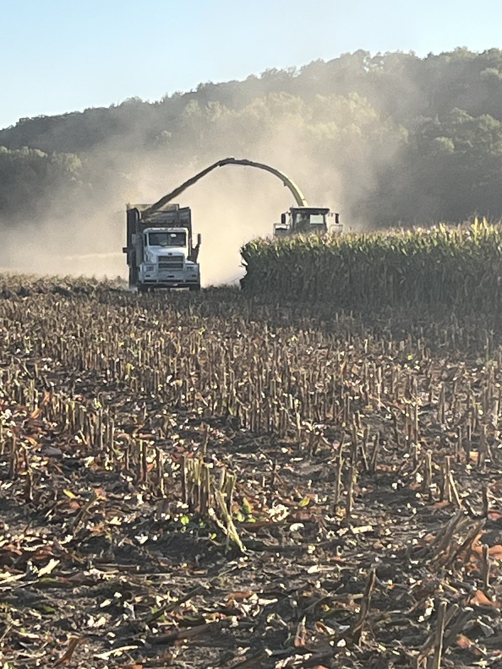 Farm machinery harvesting corn in a dusty field, with a truck collecting the crop in the background and a tractor cutting the corn in the foreground.